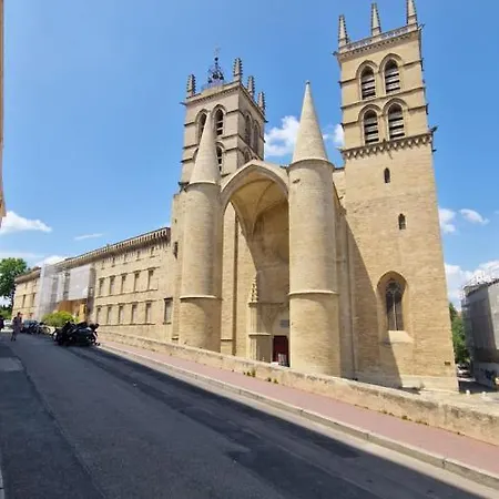 Le Petit Olivier En Coeur De + Parking Incl. Apartment Montpellier