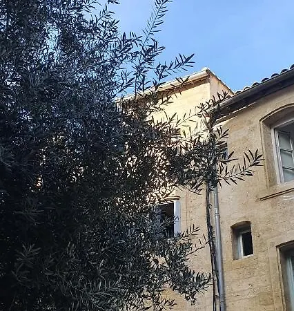 Apartment Le Petit Olivier En Coeur De + Parking Incl. Montpellier