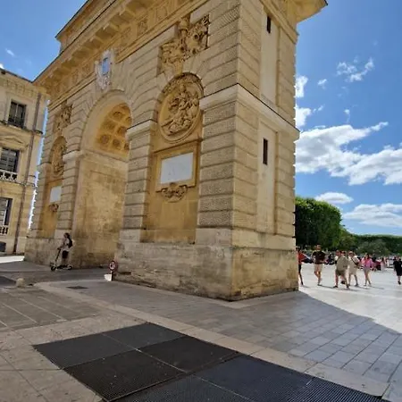 Le Petit Olivier En Coeur De + Parking Incl. Montpellier