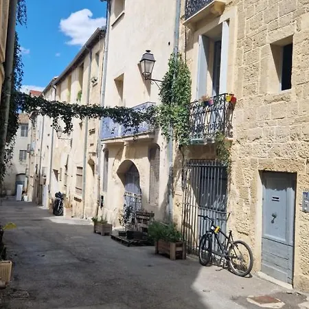 Apartment Le Petit Olivier En Coeur De + Parking Incl.